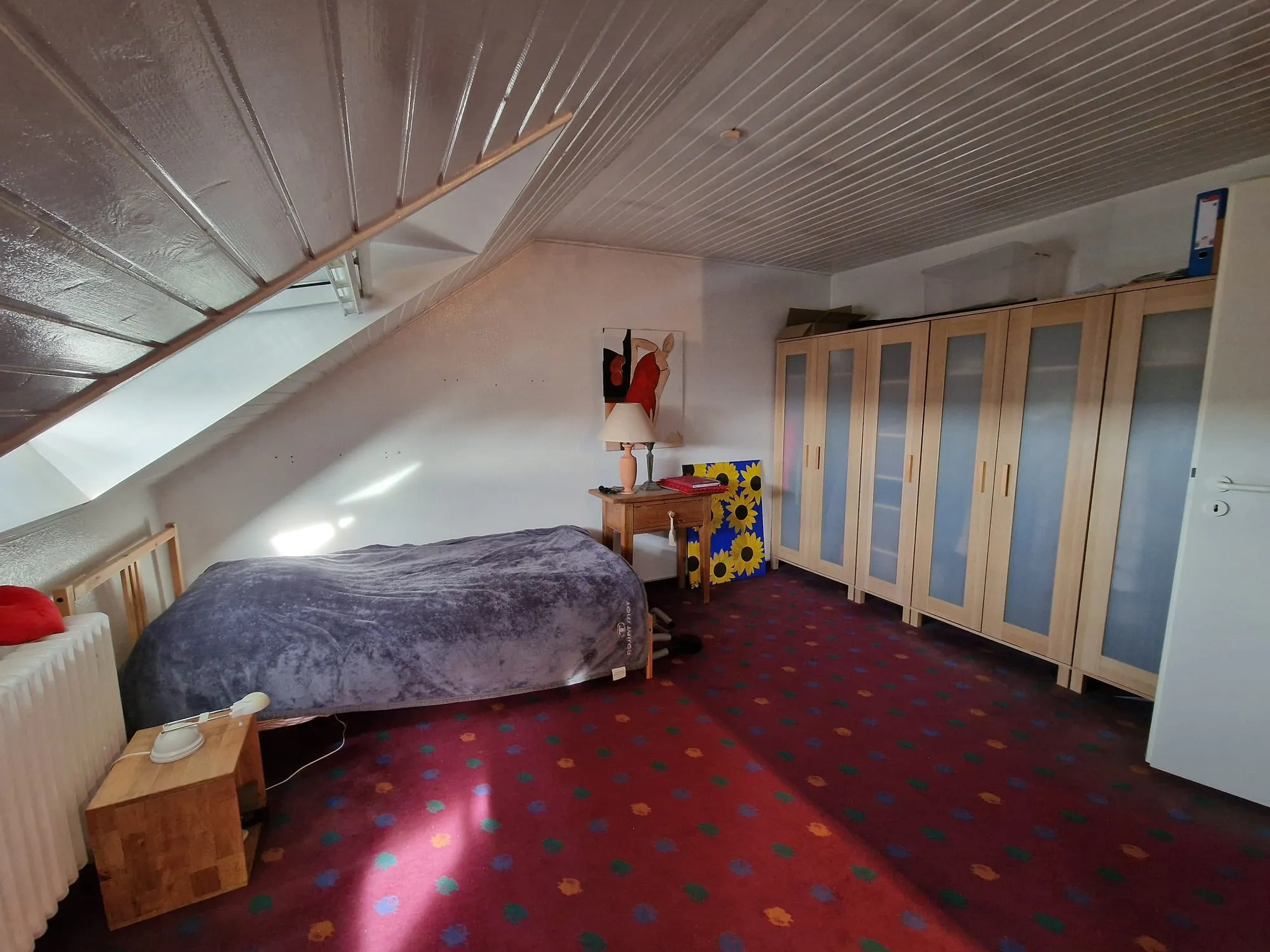 Dachgeschoss links / Hausrückseite